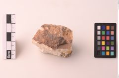 Foto von Apatit-Phosphrit (NHMW-MIN-As256)